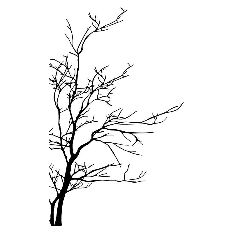 Bare Branches Wall Sticker, Bedroom Nursery Office Home Bedroom Wall Sticker