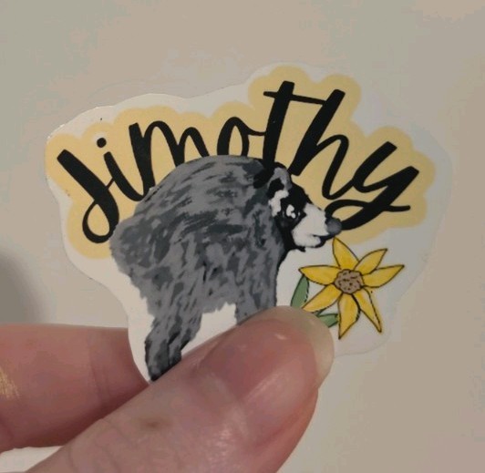 Jimothy The Raccoon Sticker Waterproof Vinyl Decal Viral Meme
