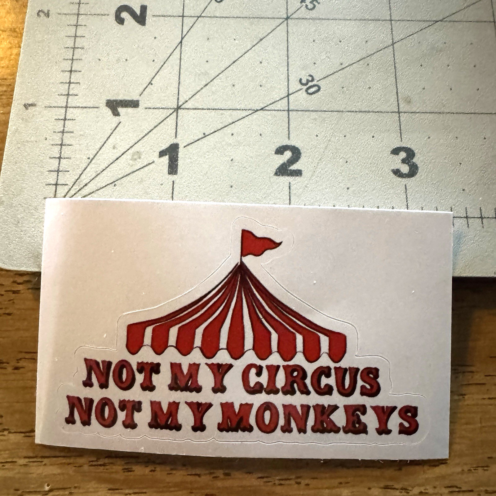 3" x 2" Not My Circus Not My Monkeys Vinyl Sticker Funny Office Quote Decal
