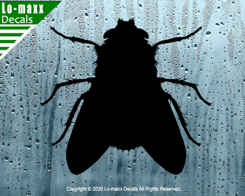 Fly Housefly Original Custom Graphic Art Superior Quality Die Cut Vinyl Decal