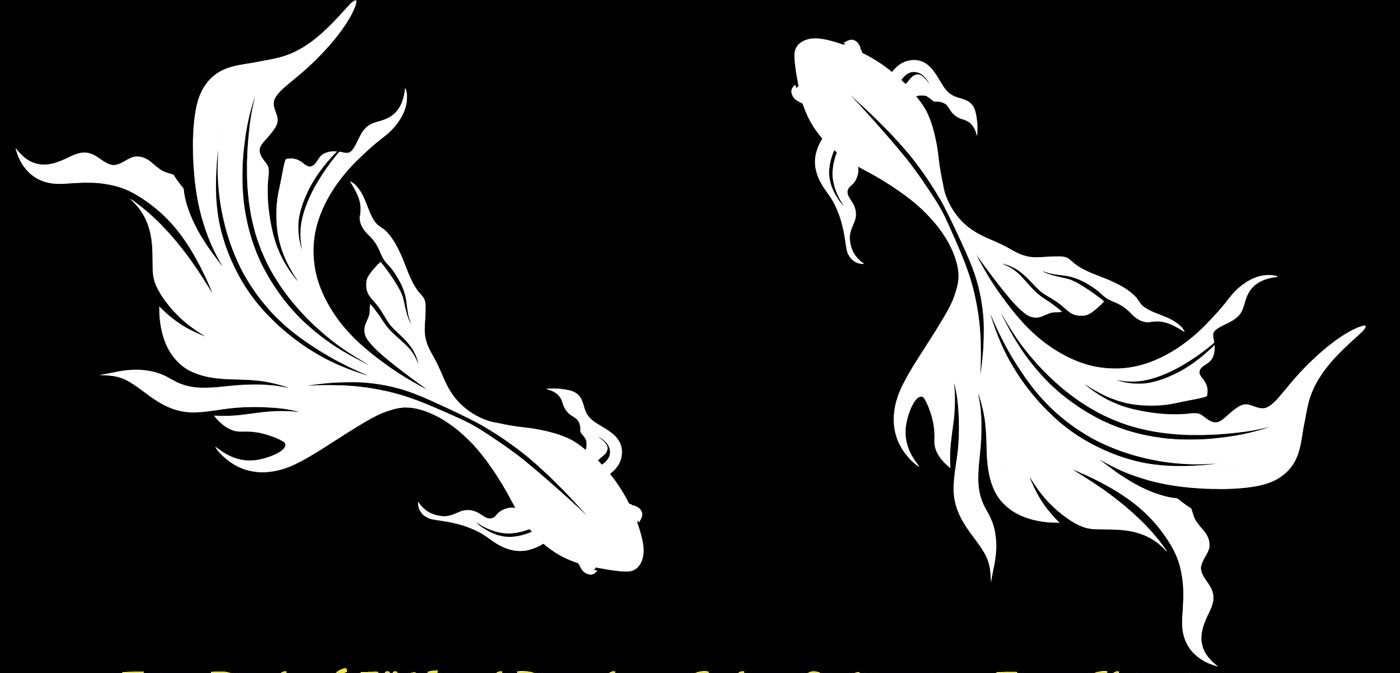Fancy Goldfish Two Pk 5" Vinyl Decals Color Options Car Window Any Flat Surface