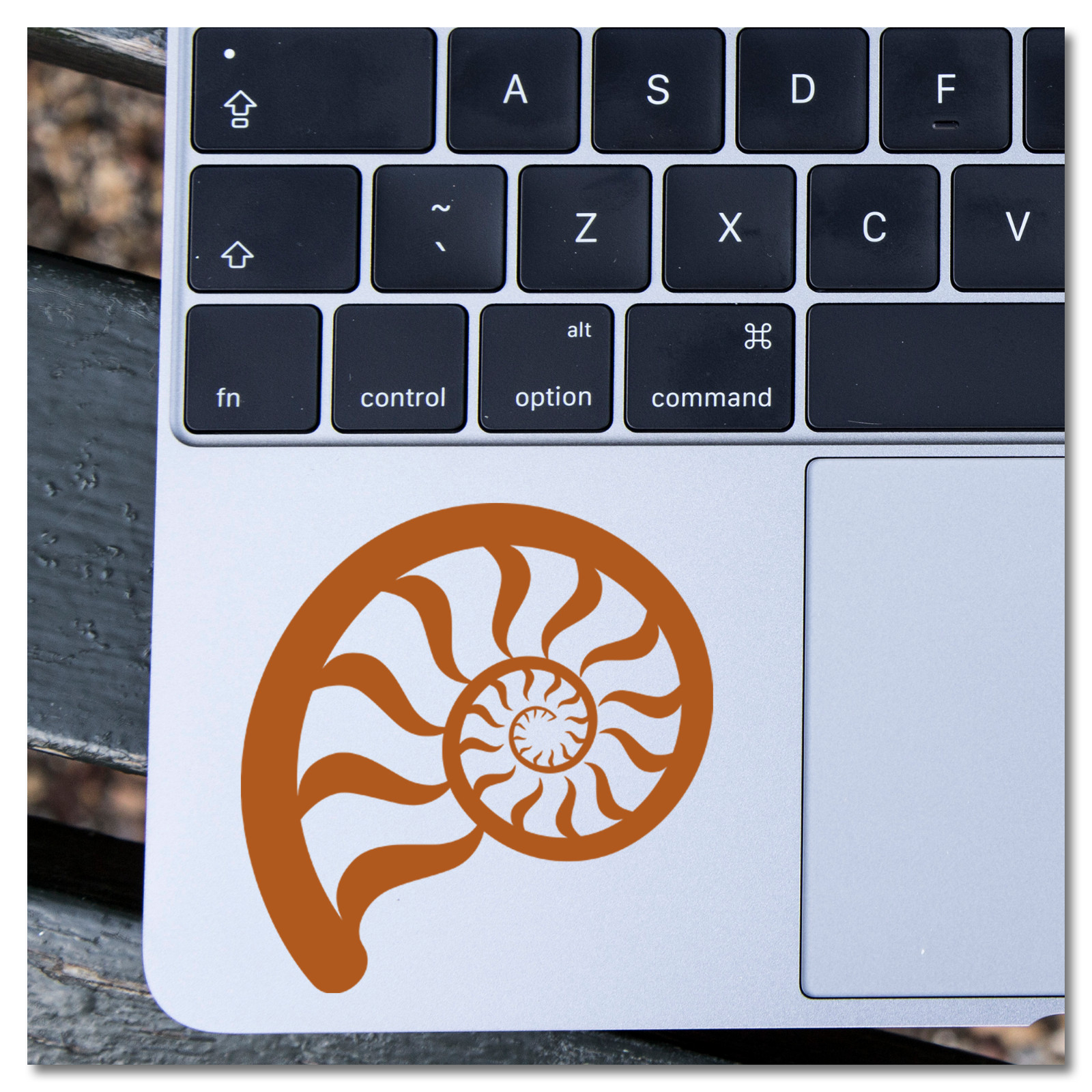 6" Nautilus Shell Nature Vinyl Decal Sticker