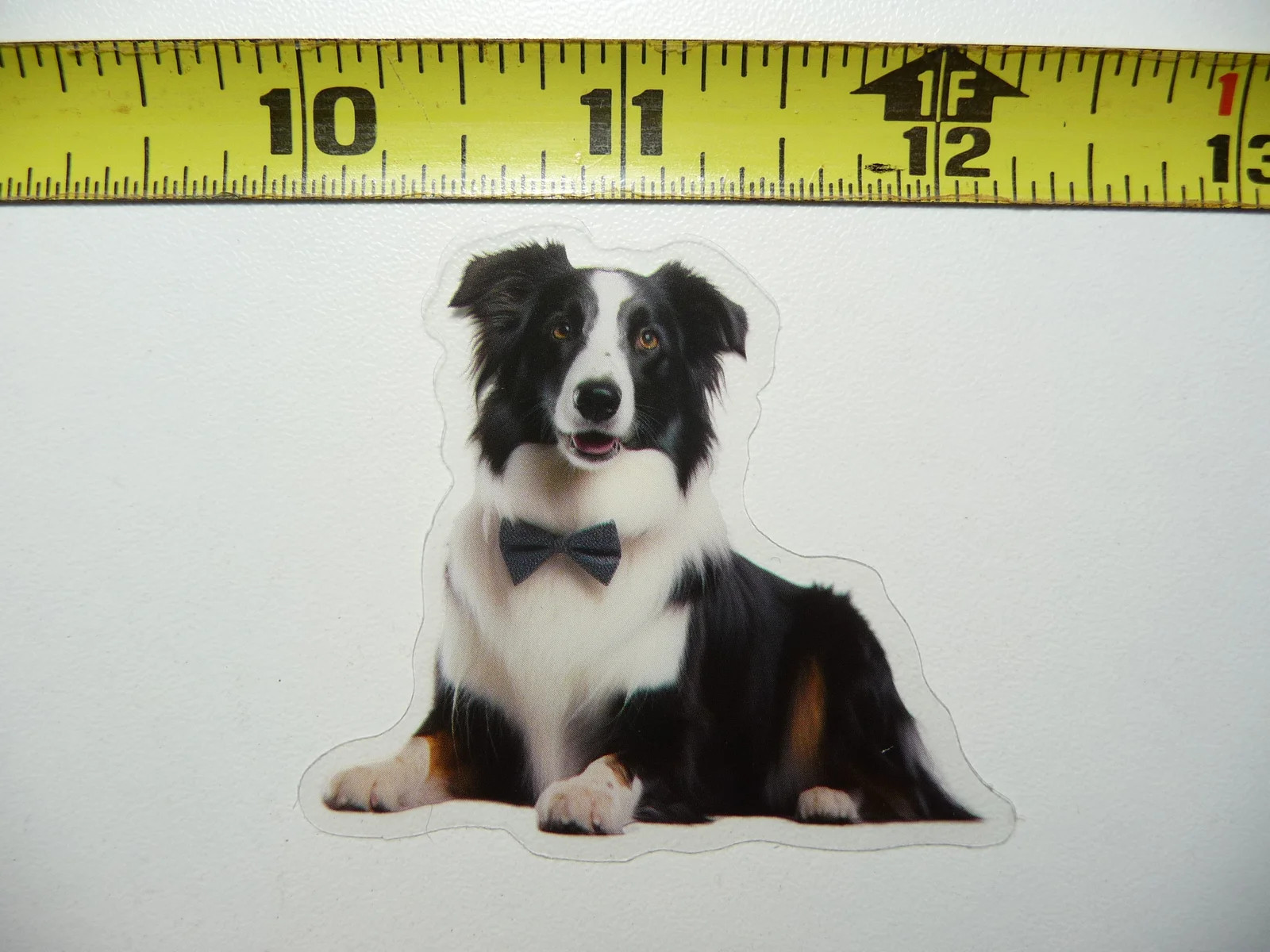 BORDER COLLIE DOG SMALL STICKER DECAL PET COLORFUL BEST FRIEND FUNNY