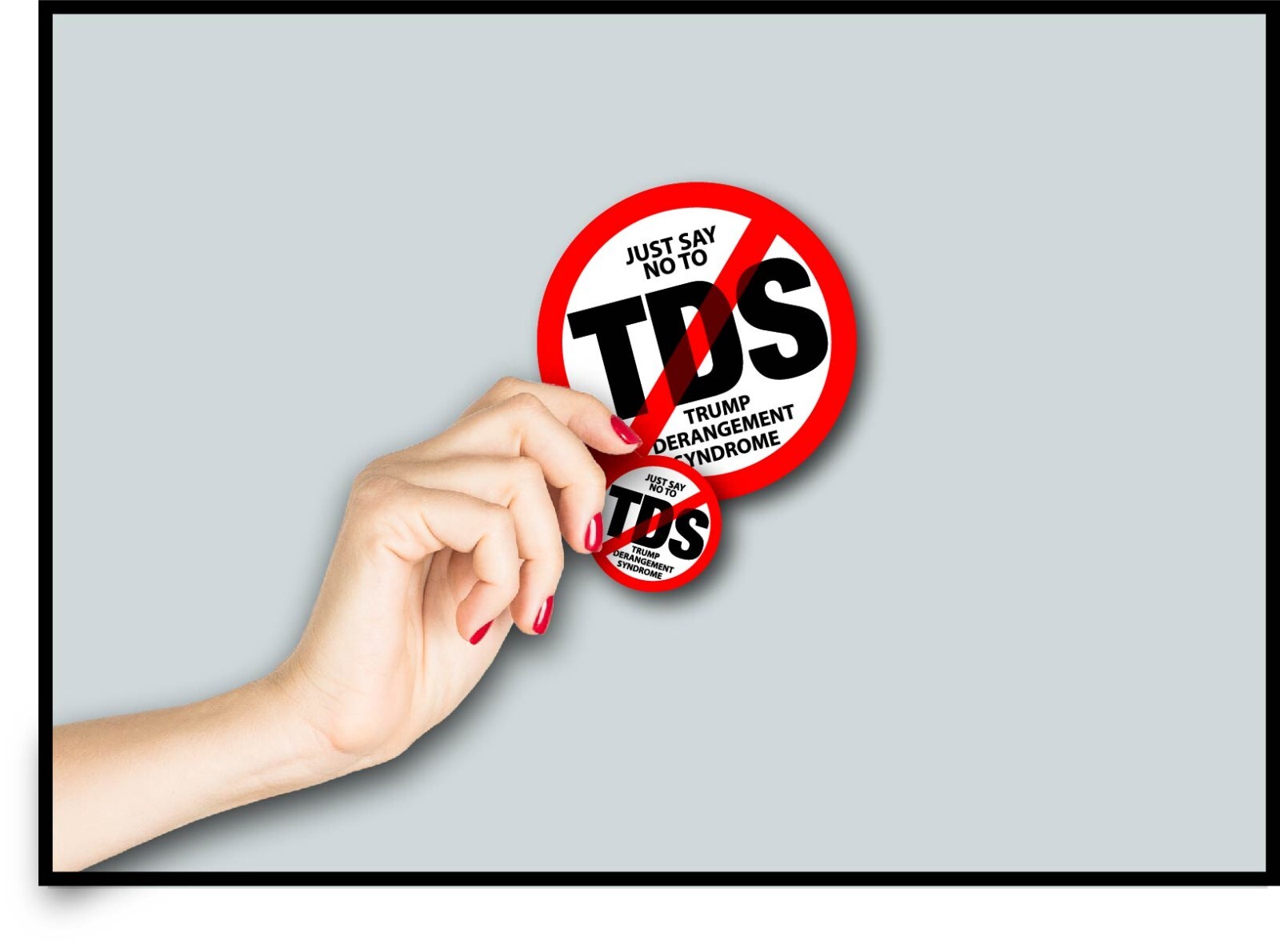 Say No to TDS Decal Sticker Trump Derangement Syndrome Anti MAGA Pro Political