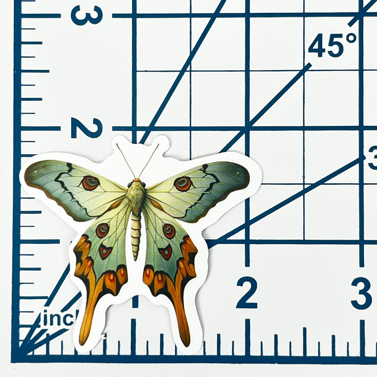 Green Moth Vinyl Sticker Vintage Butterfly Insect Journal Laptop Scrapbook Gift