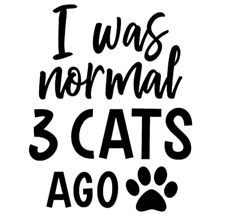 I was normal 3 Cats ago 5" Black Vinyl Decal Car Windows Laptop Tablet