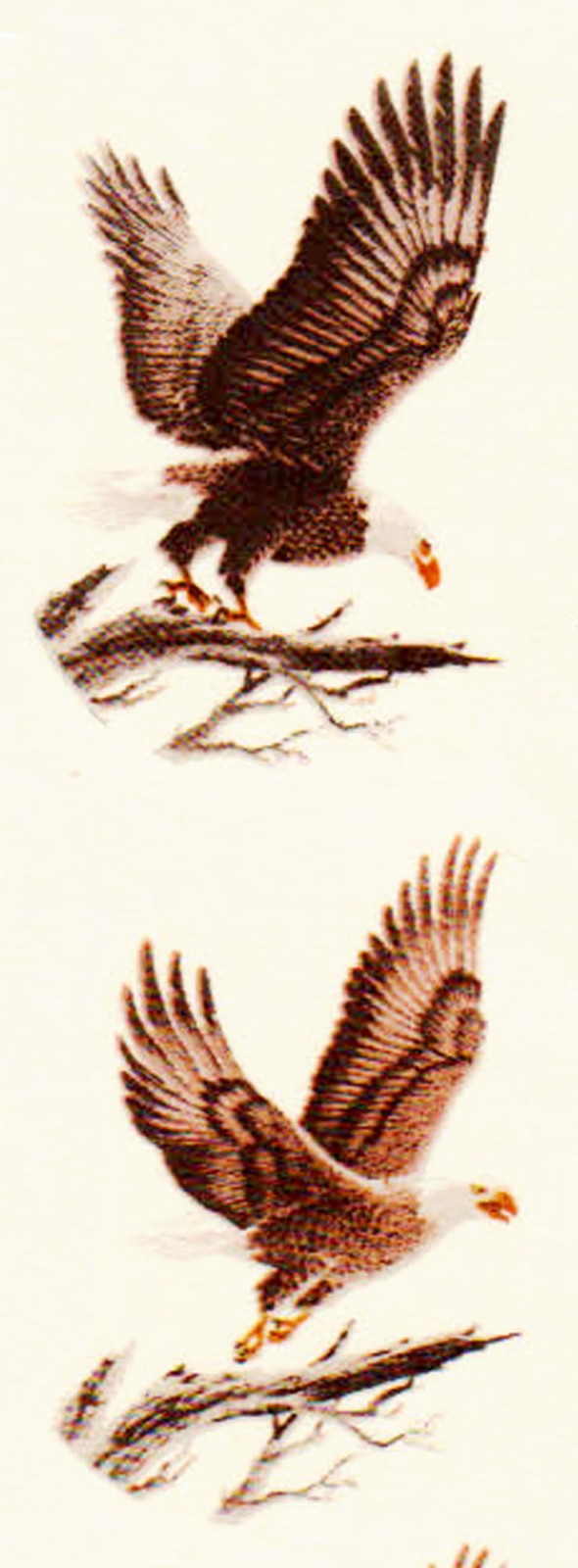 Mini Vintage Bald Eagle Small Ceramic Waterside Decals (15) 1 1/2" x 1 3/4"