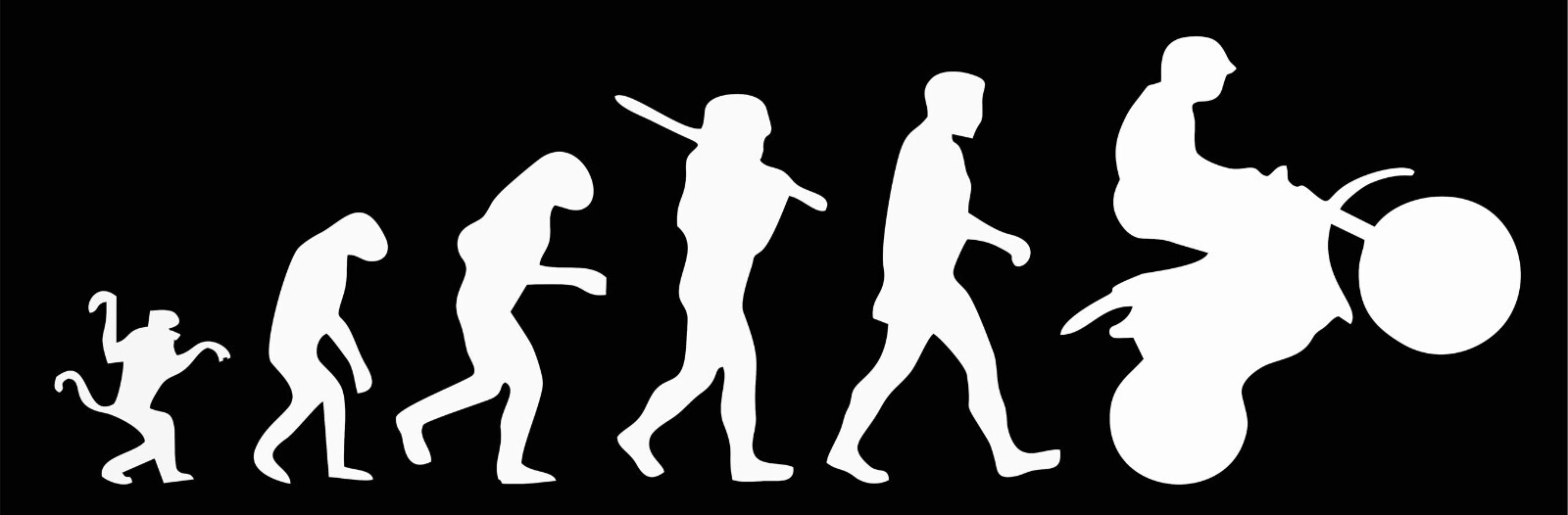 Evolution MX Sticker motorsports atv quad darwin decal
