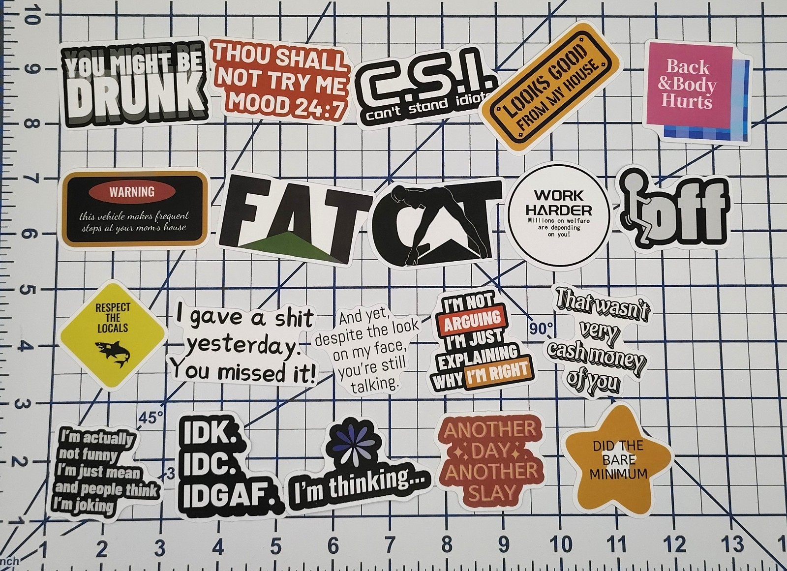 100 Pcs Sarcastic Adult Humor Stickers Pack Funny Meme Vinyl Decals Joke Lot