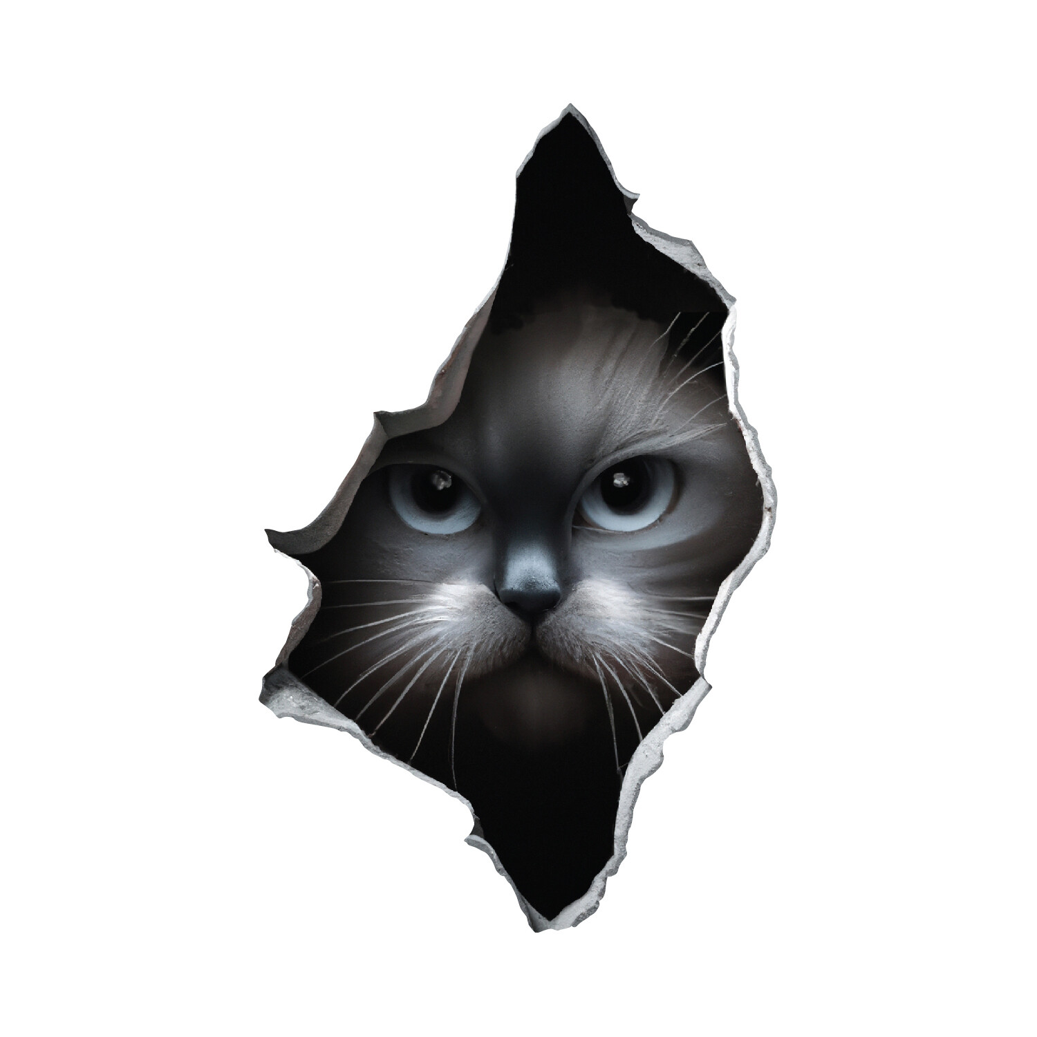 Gray Cat Peeking Through a Hole in the Wall – Vinyl Wall Decal Quality USA Made