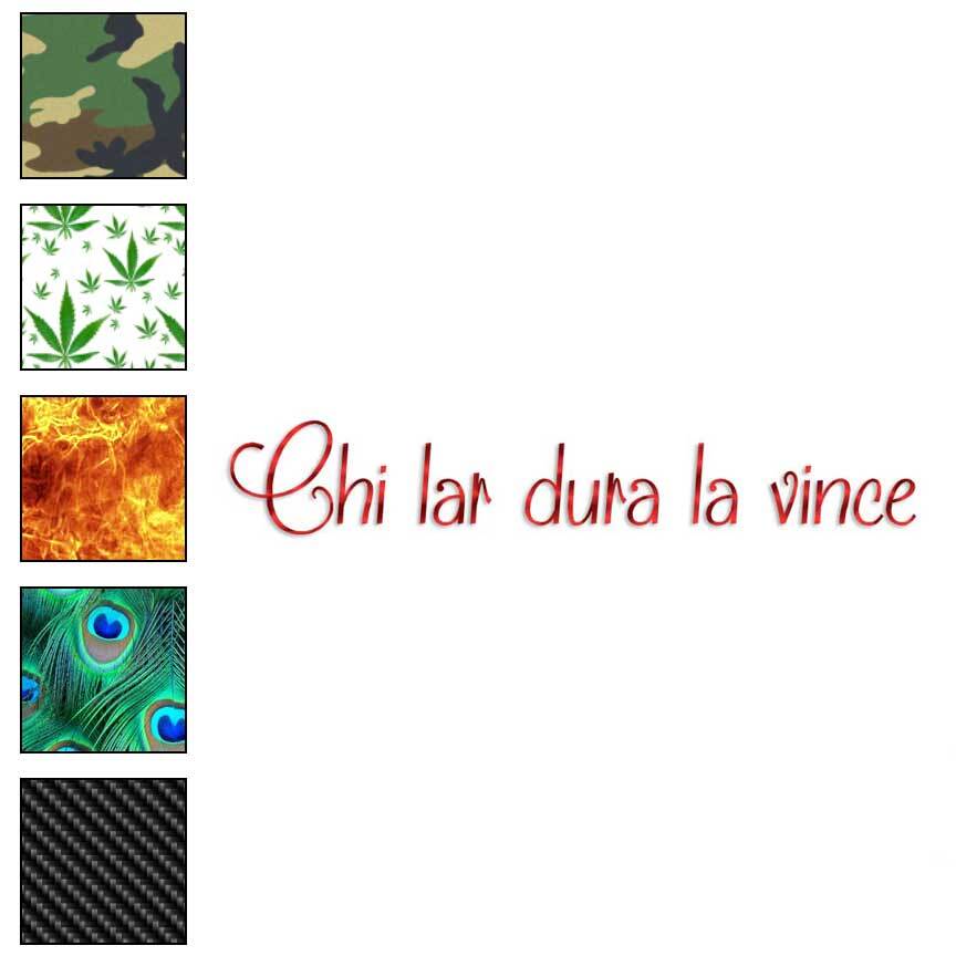 Chi Lar Dura La Vince, Vinyl Decal Sticker, 40 Patterns & 3 Sizes, #3753
