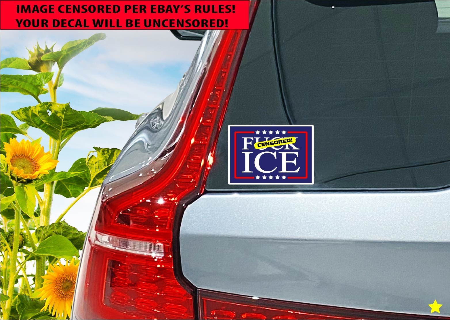 F** Ice Decal Sticker Protest MAGA Trump Anti Raids Support Immigrants Political