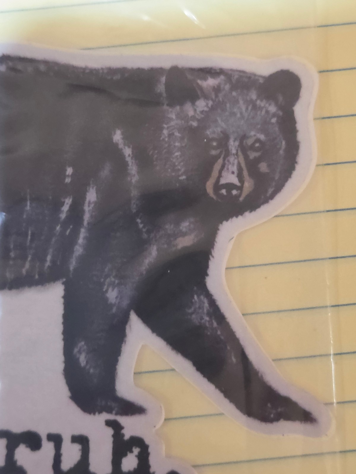 lg sticker / decal, BEAR, "Bruh." Idaho, black bear, 3+ "