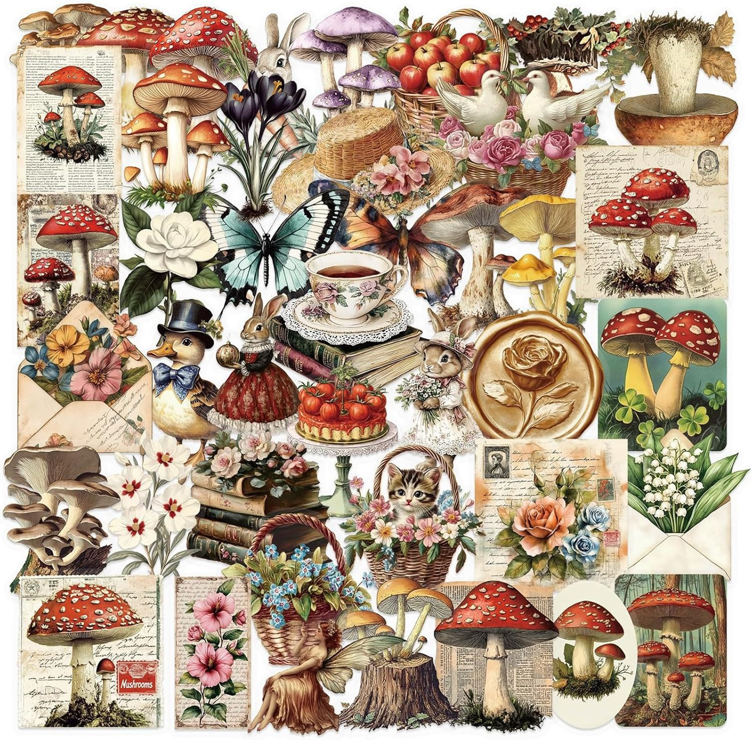 50PCS Vintage Mushroom Stickers PET Transparent Stickers Retro Flora and Fauna D
