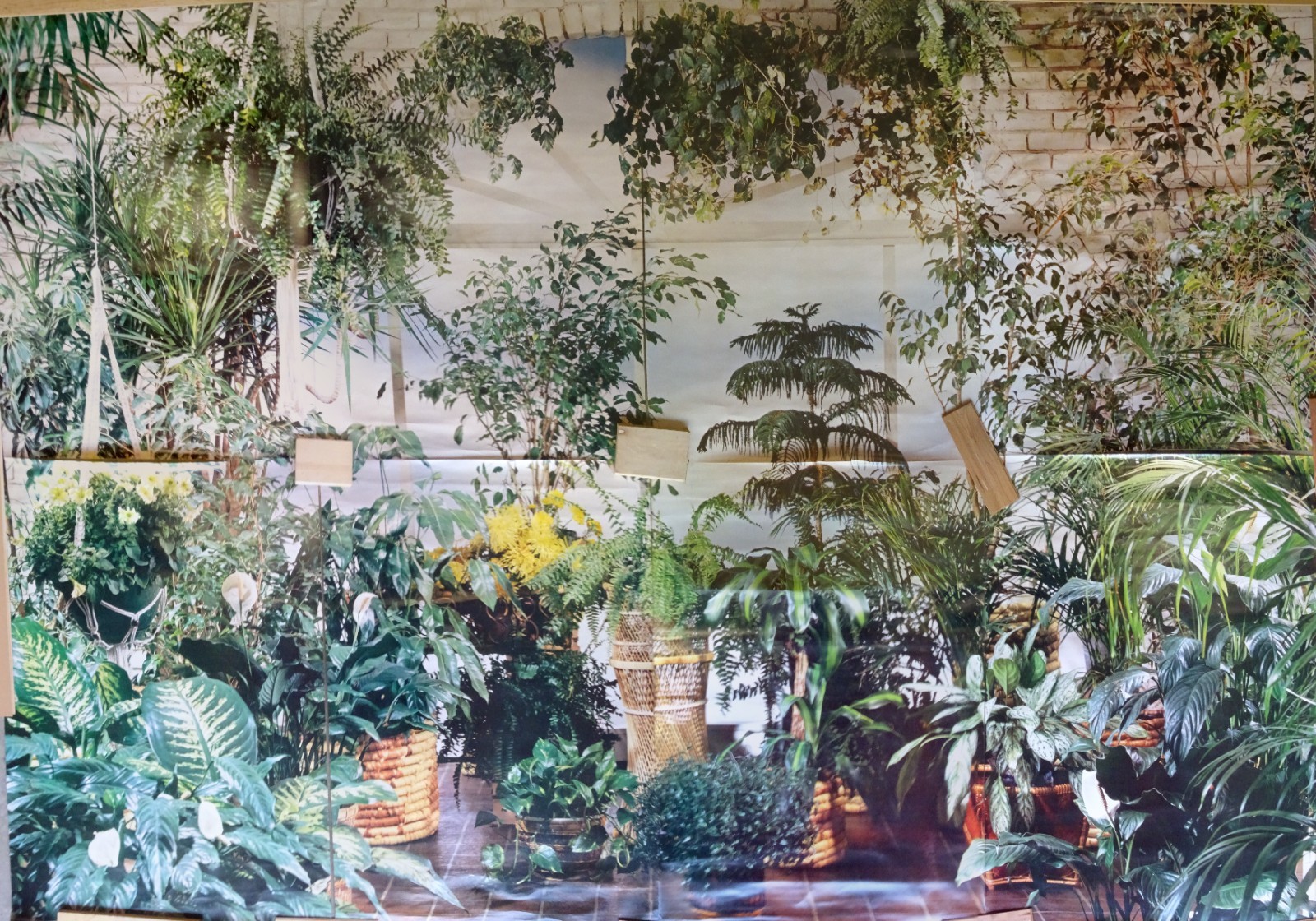 Full Wall Size Mural Tropical Plants Huge Window 8’ 8” x 12’ 6” NOS 108 Sq Ft A