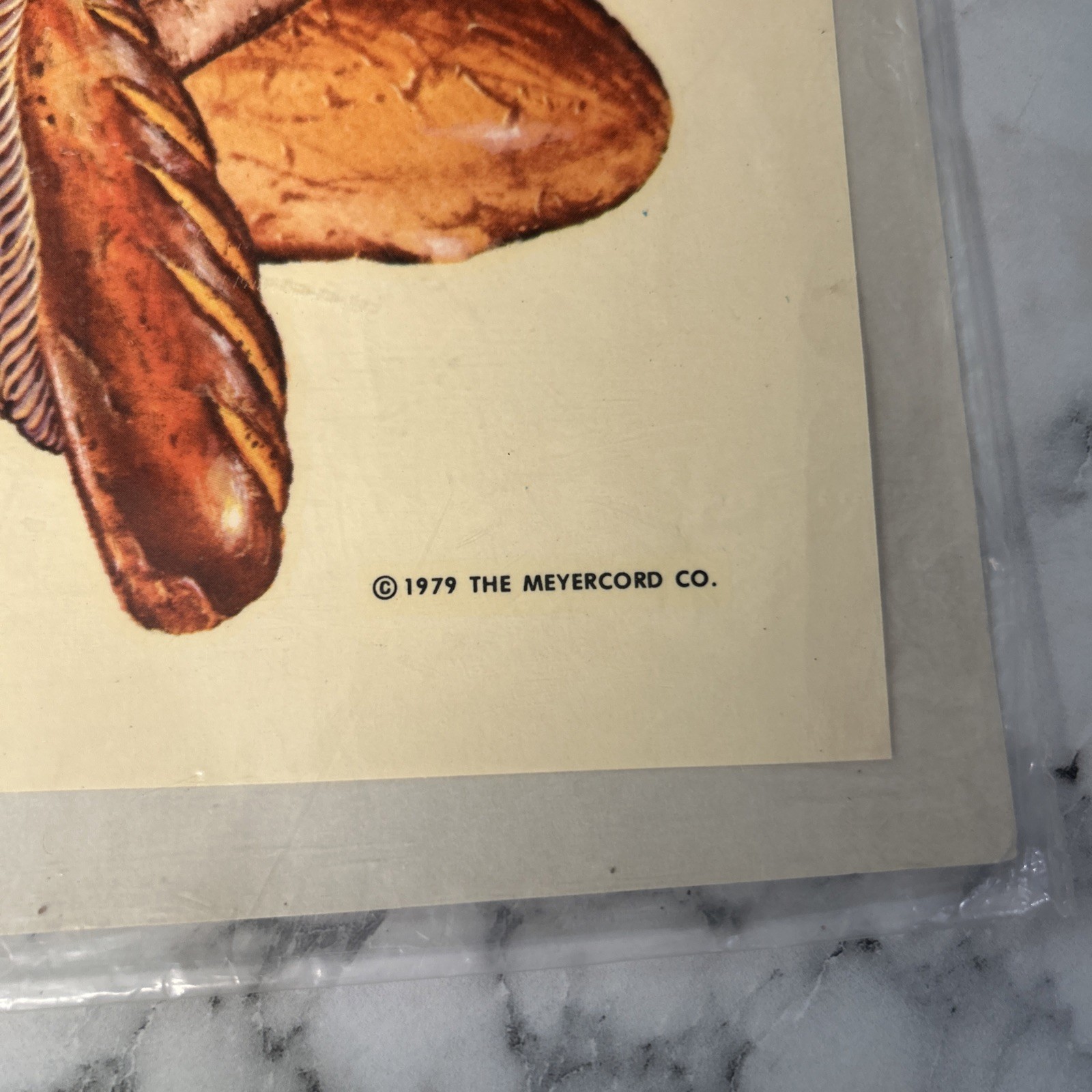 Vintage Meyercord Decals Lot Grain And Vegetables Retro Kitchen Decor Restaurant