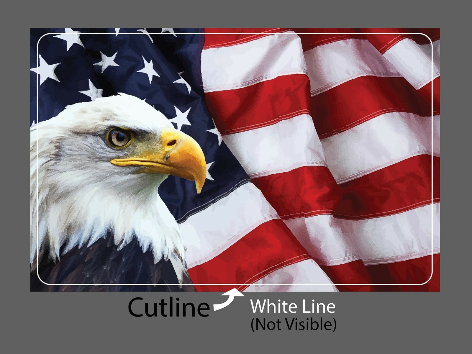 Bald Eagle Sticker America Waterproof – Buy Any 4 For $1.75 Each Storewide!