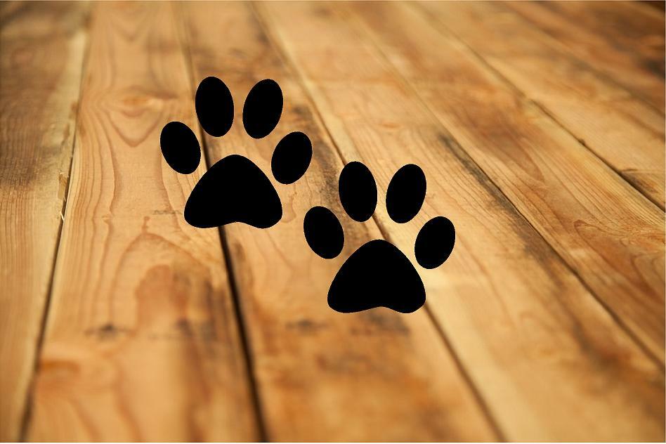 3" CAT/DOG PAW PRINTS – 40 PAWS IN SET – VINYL DECALS HOME DECOR