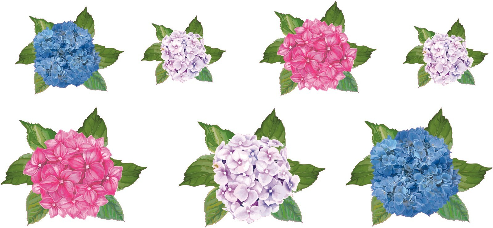 Vinyl Home Hortensia Wall Decor Multi-colored Hygrangea Flowers Wall Decal 9×20