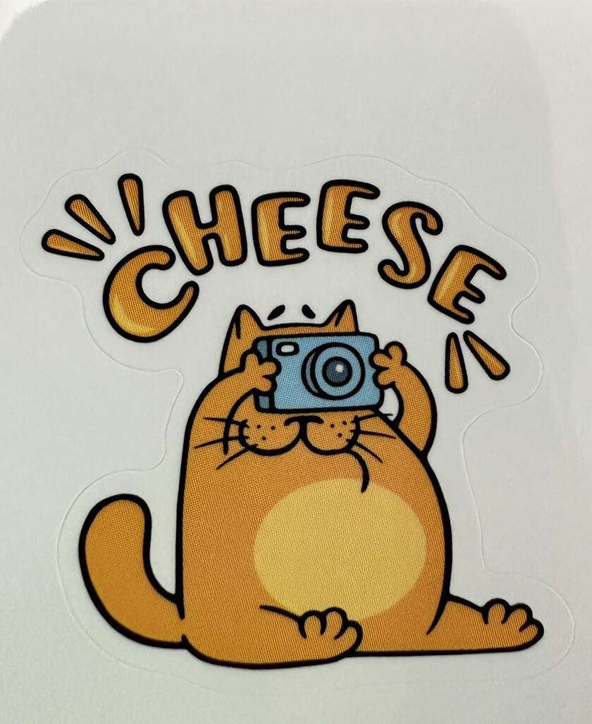 SAY CHEESE – Small Vinyl Sticker – 1.5in