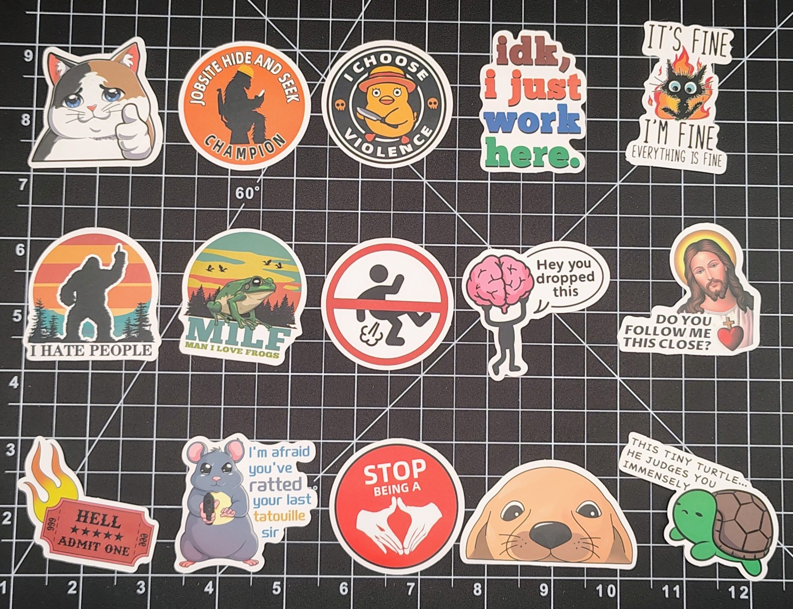100 Pcs Funny Meme Stickers Pack Vinyl Decals Sarcastic Adult Humor Joke Lot