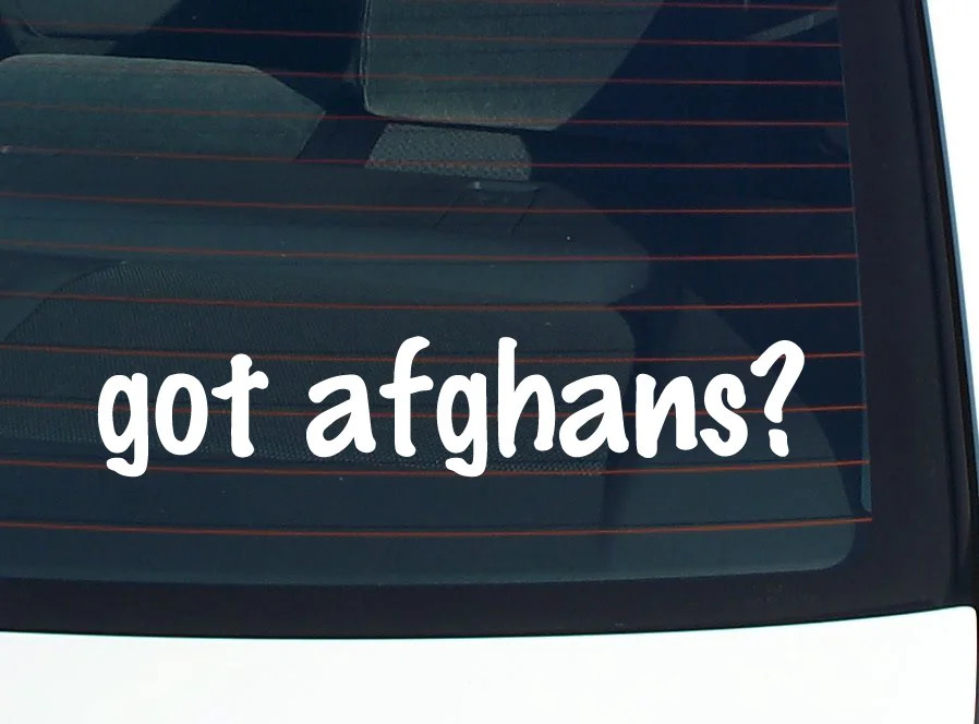 got afghans? CAR DECAL BUMPER STICKER VINYL FUNNY JOKE WINDOW