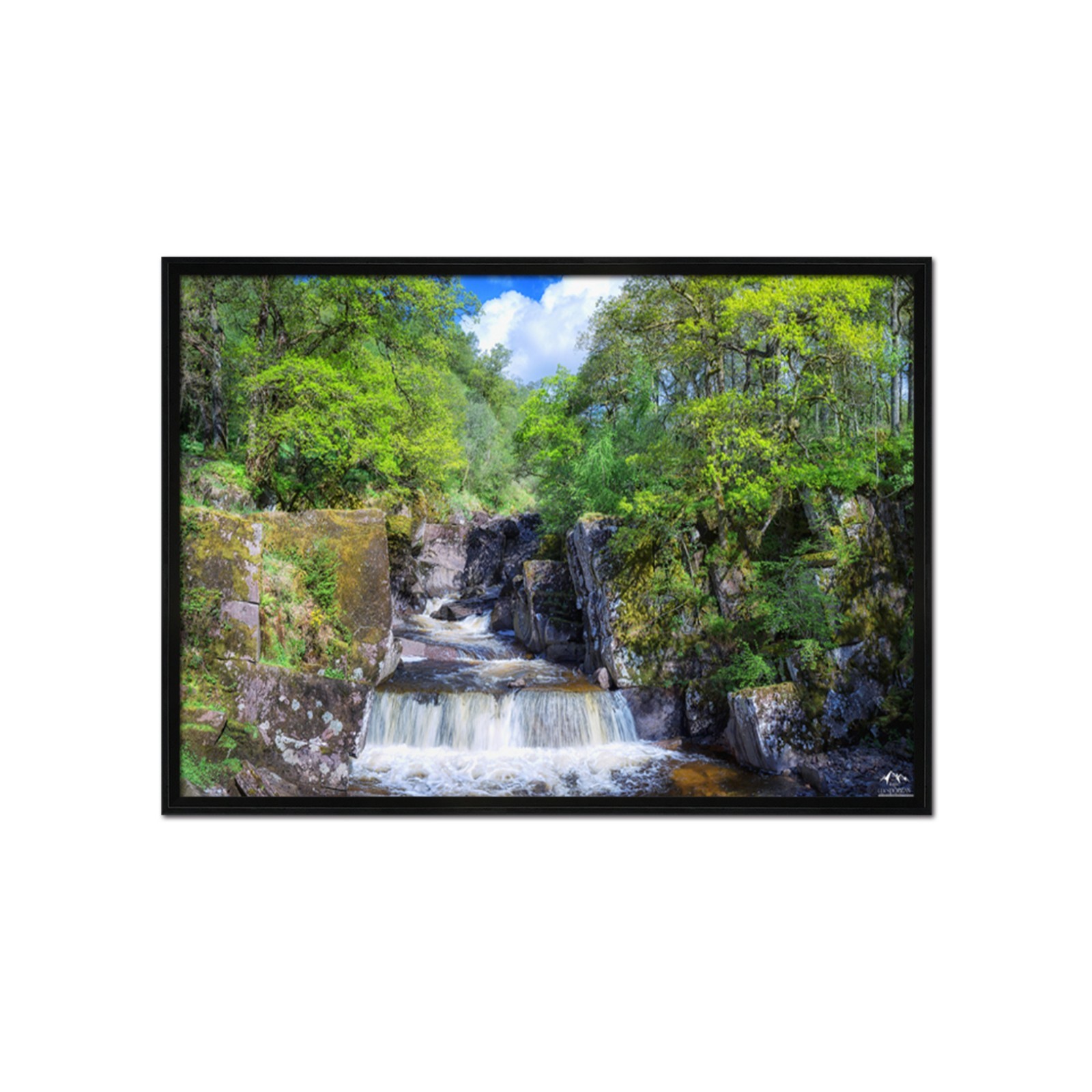 3D Small River Tree 55 Framed Poster Home Decor Print Painting Art AJ WALLPAPER