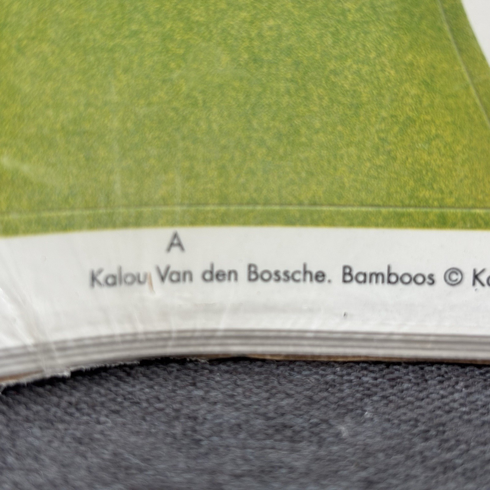 New IKEA Slatthult Bamboo Green Wall Stickers Van Den Bossche 2006 Decal France