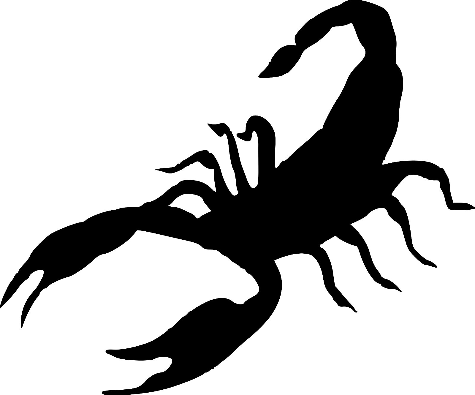 Scorpion Vinyl Sticker | Stinger Tail Venom Desert Creature | Die Cut Decal
