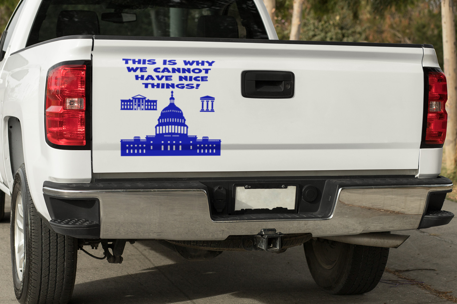 This is why we cannot have nice things Vinyl decal anti government funny