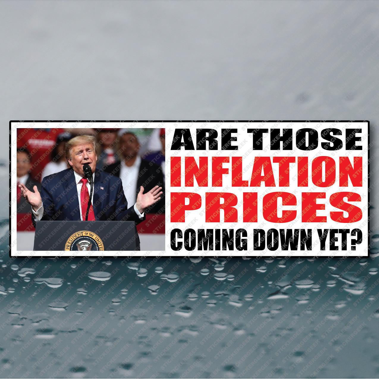 ANTI TRUMP INFLATION PRICES Coming Down Funny Bumper Sticker Democrat