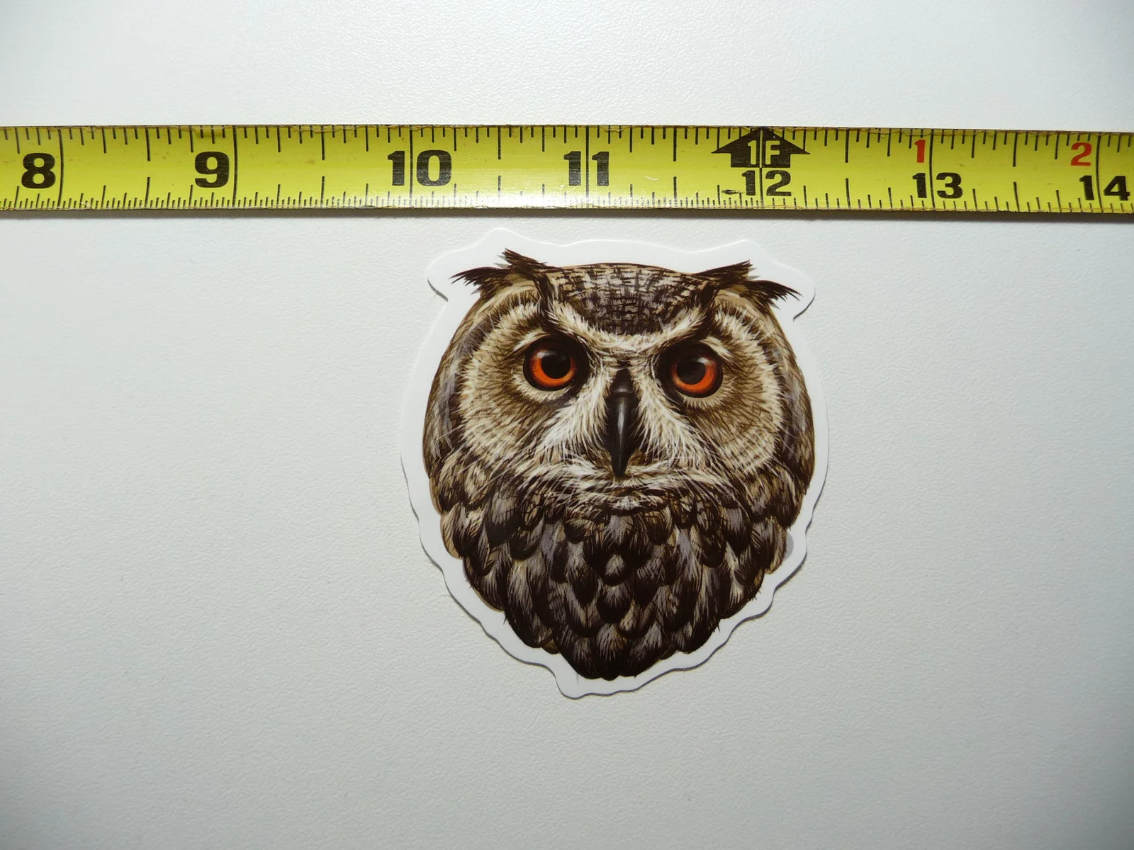 OWL SMALL STICKER DECAL ZOO ANIMAL WILD FUN FUNNY