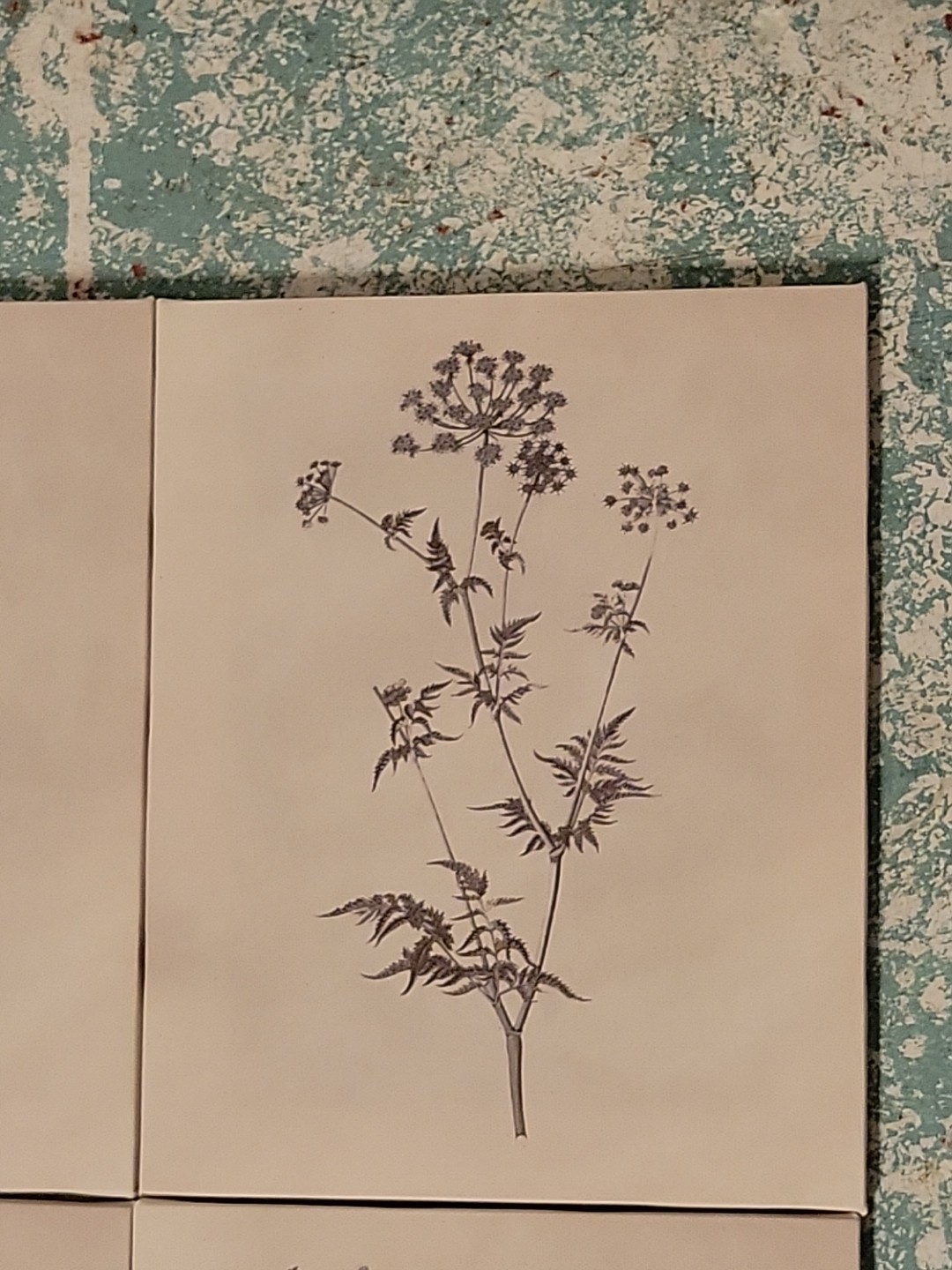 Set Of 4 8×10 Botanical Wall Art Plant Flower Prints Boho Floral Ready To Hang!