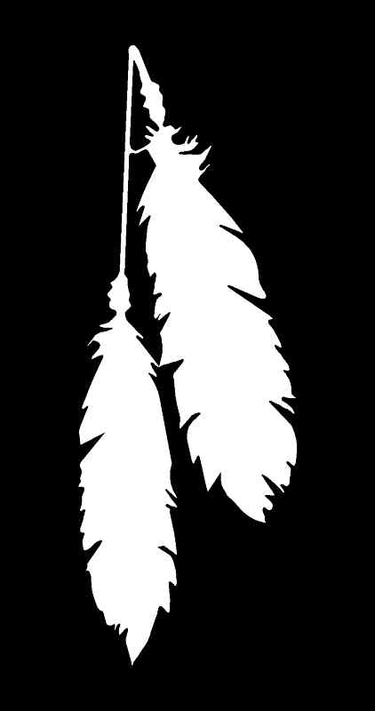 FEATHERS Vinyl Decal 3" x 8" (11 Colors)