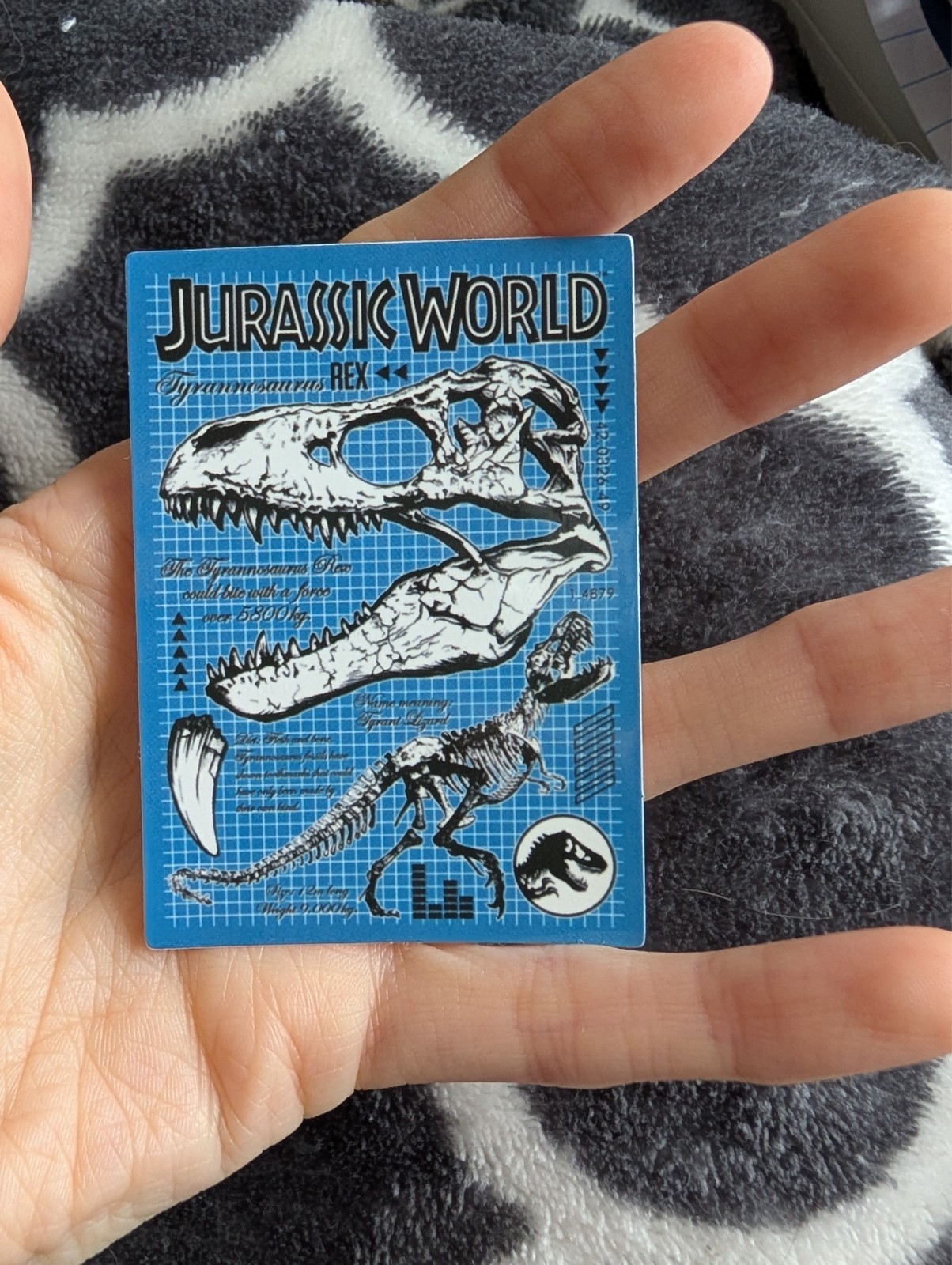 Jurassic Park Dinosaur Sticker Vinyl Decal | T-Rex Movie Film Fan Art
