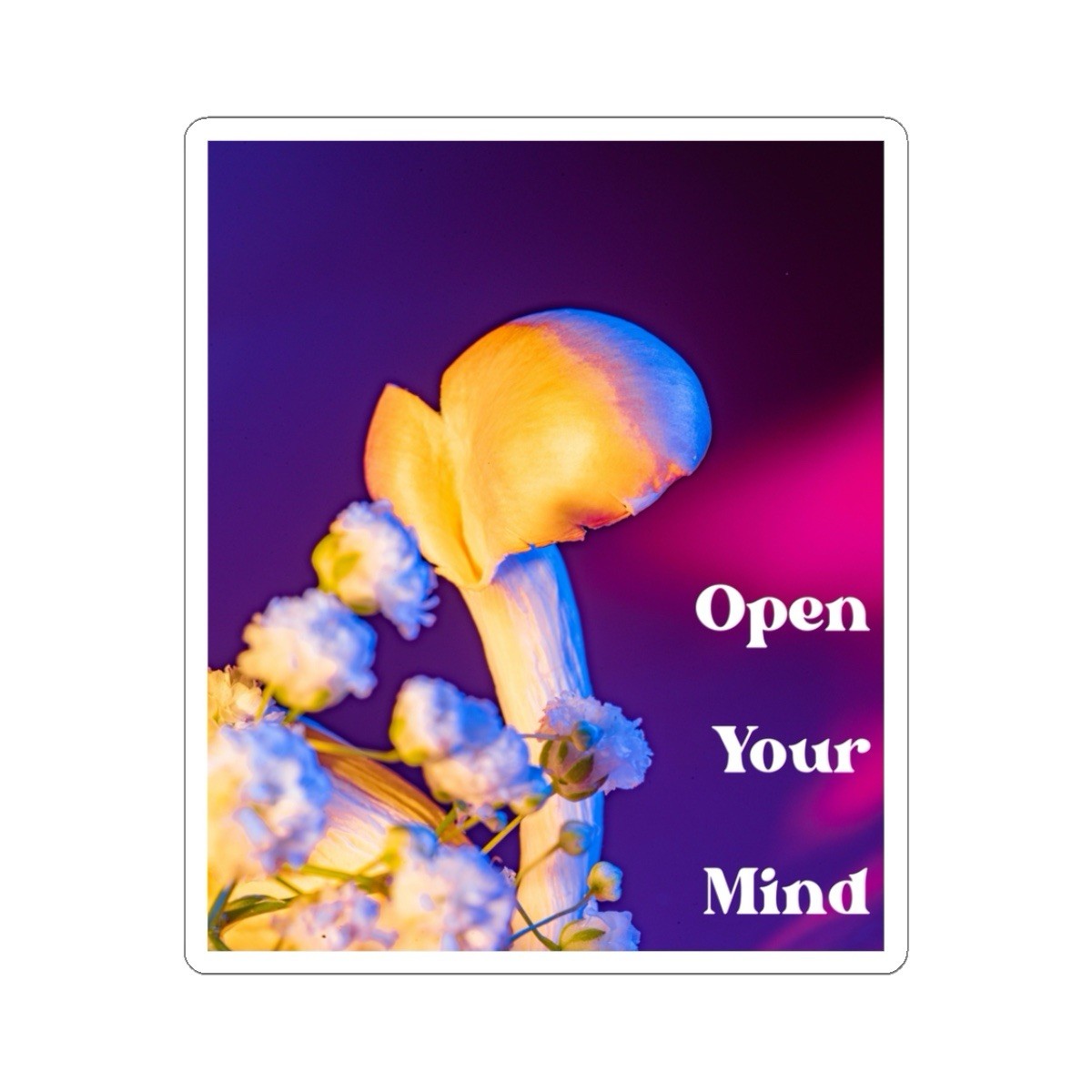 Trippy Mushroom Sticker Pack | Perfect for Water Bottle Phone Case Laptop | 5 PK
