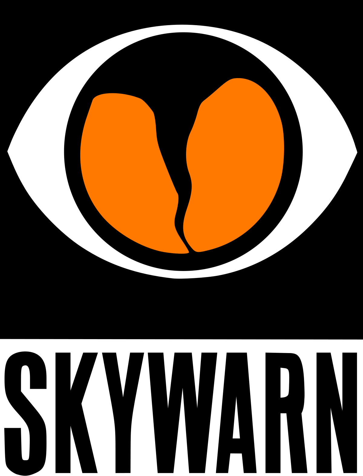 SKYWARN Sticker 2-Pack (4"x3") | Storm Spotter Weather Decal for Car, Truck, Win
