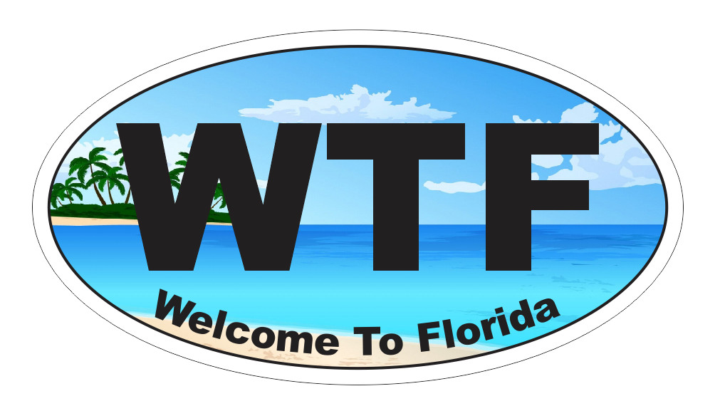 WTF Welcome to Florida Oval Bumper Sticker or Helmet Sticker Beach D7168