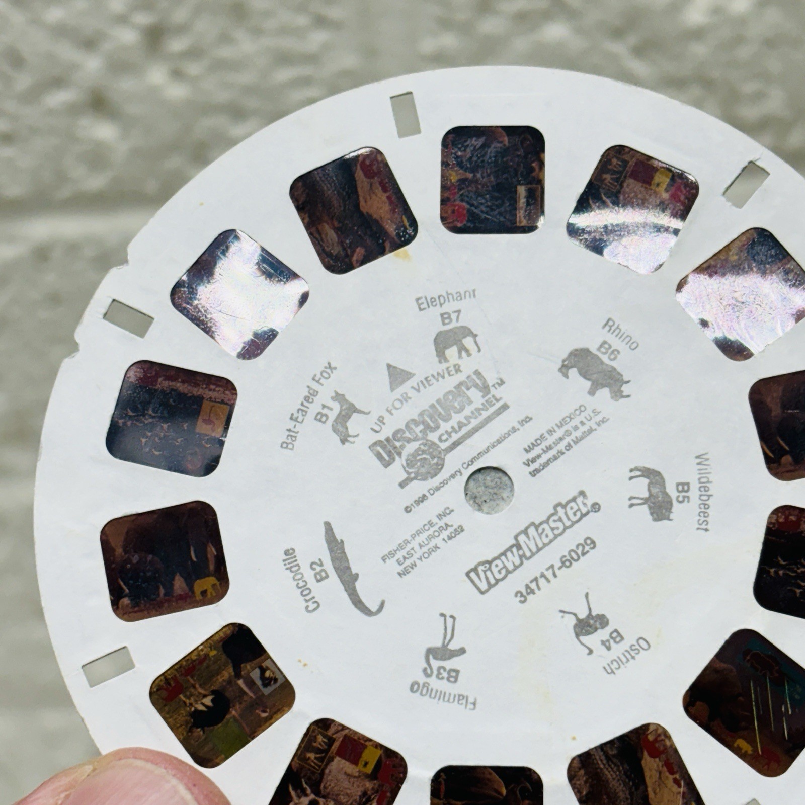 VTG‼ Discovery Channel – On Safari Animals View-Master Color Reel B ONLY • VG‼