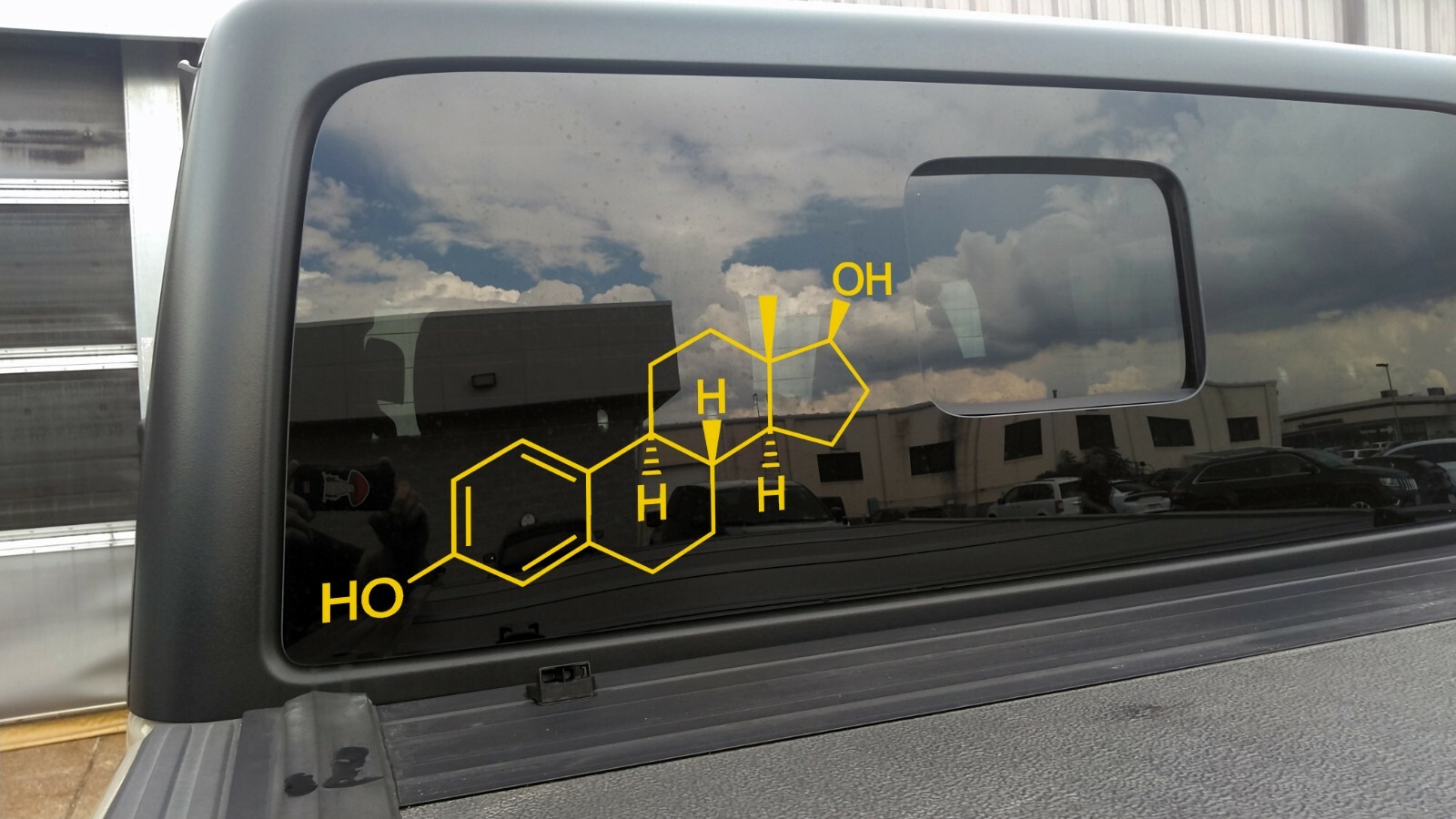 Estrogen Vinyl Decal – Chemical Compound Composition Feminine – Die Cut Sticker