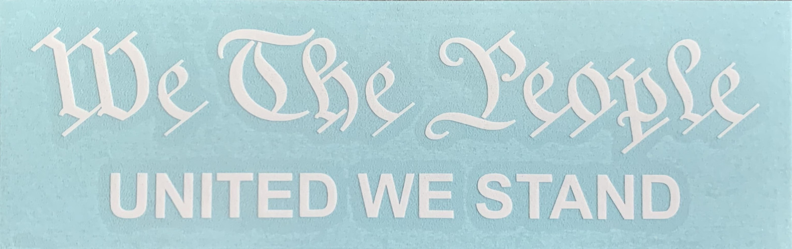 WE THE PEOPLE Outdoor Vinyl Decals with 8 options – 6.0" W x 1.026-1.526" H