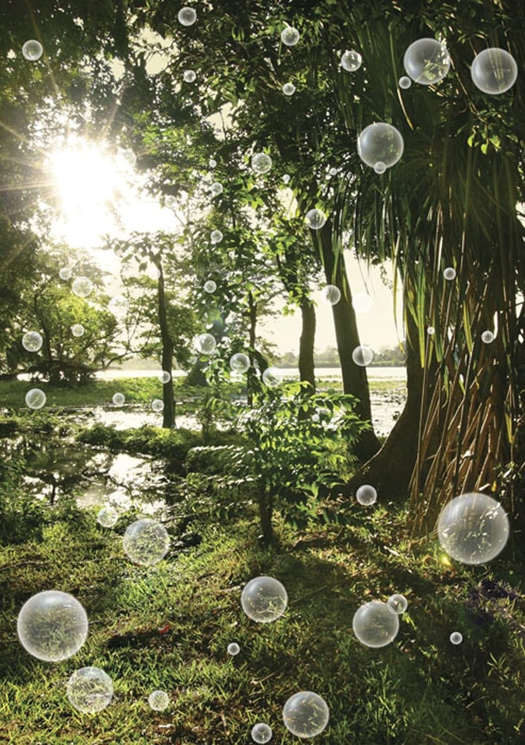 JP London MD4A160 Enchanted Forest Waiting For Wind Removable Mural 8.5' x 6'