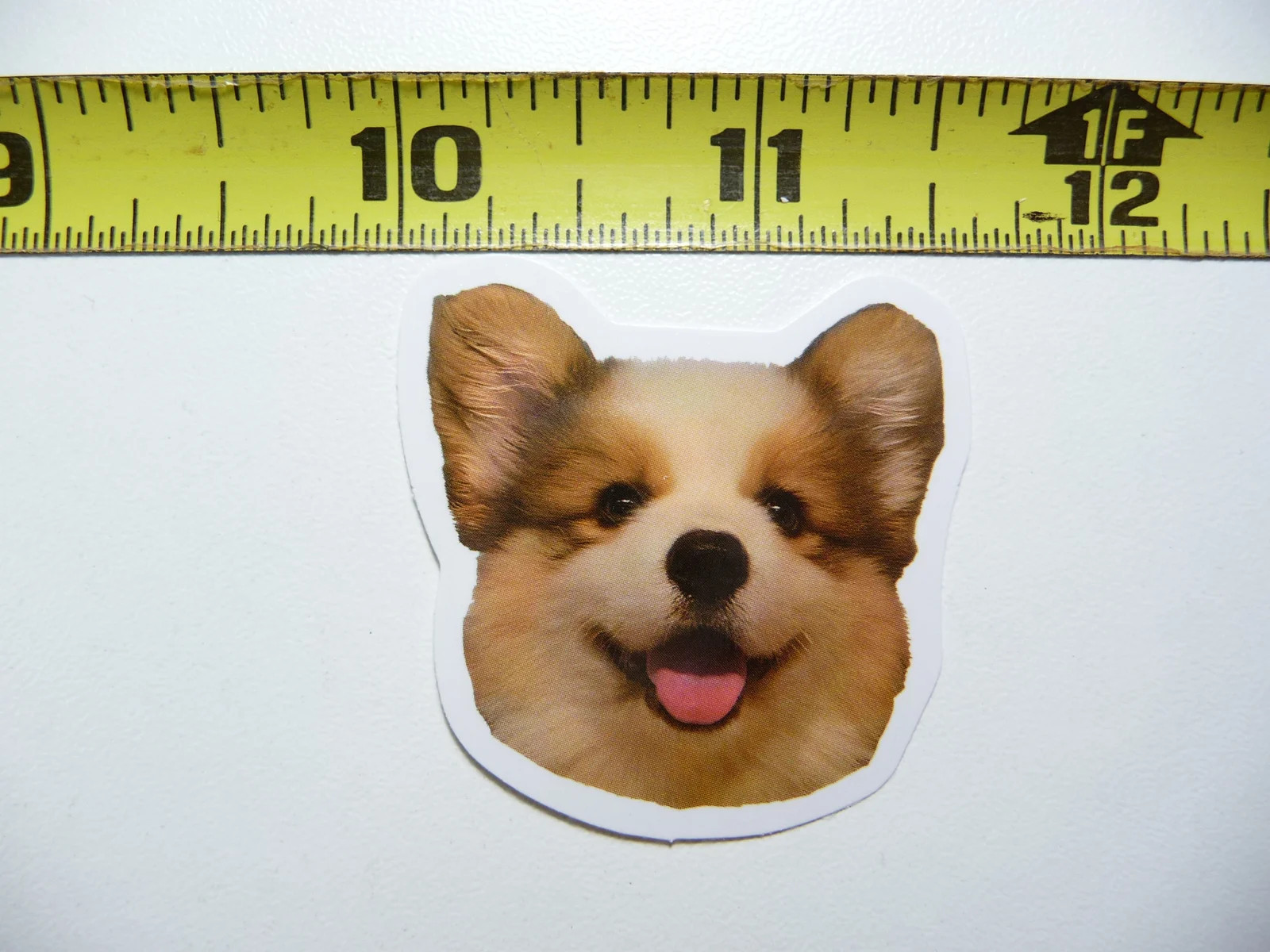 FUNNY DOG SMALL STICKER DECAL AX126 HOT SIZE FUN HI PET FUNNY