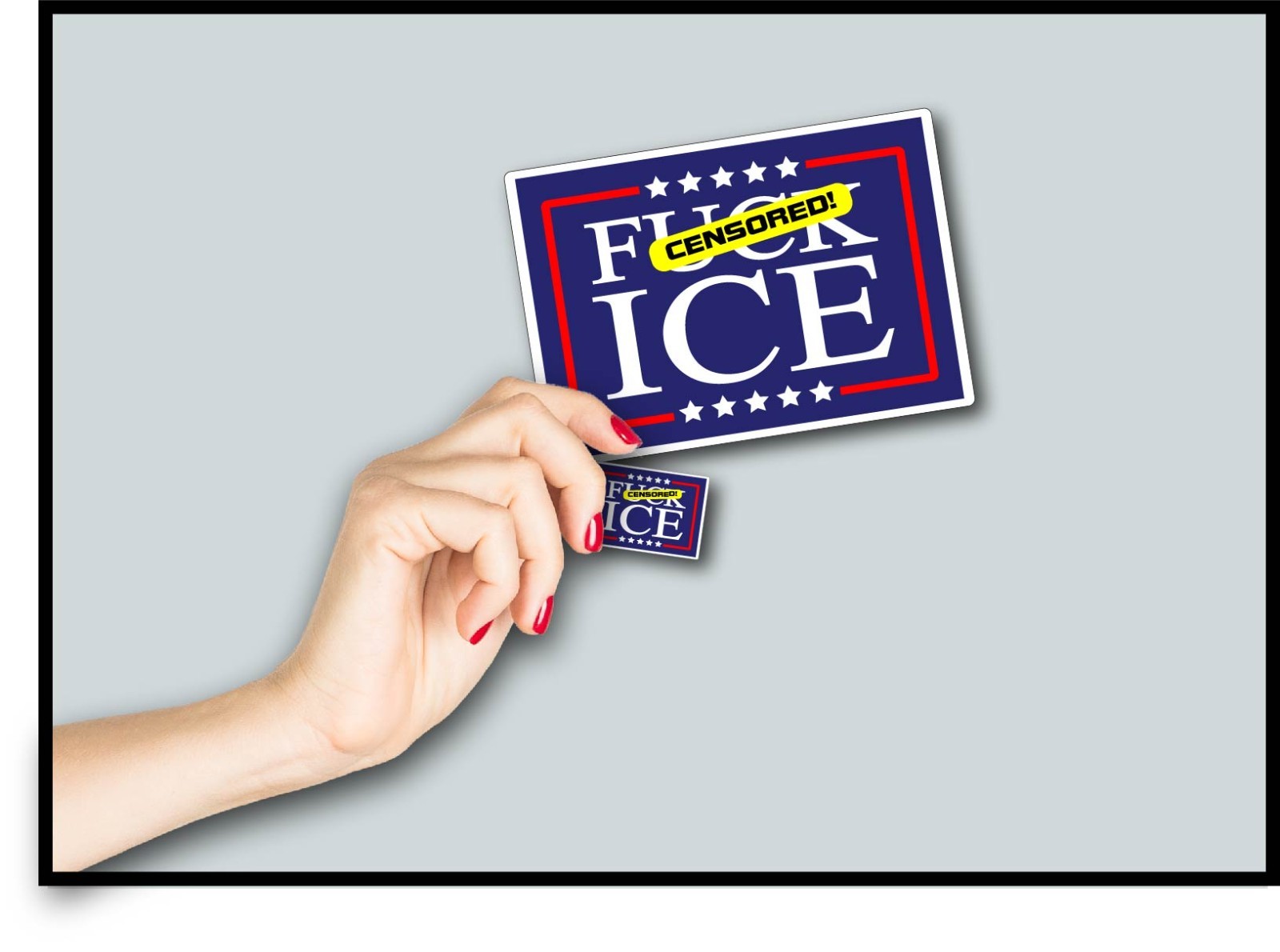 F** Ice Decal Sticker Protest MAGA Trump Anti Raids Support Immigrants Political