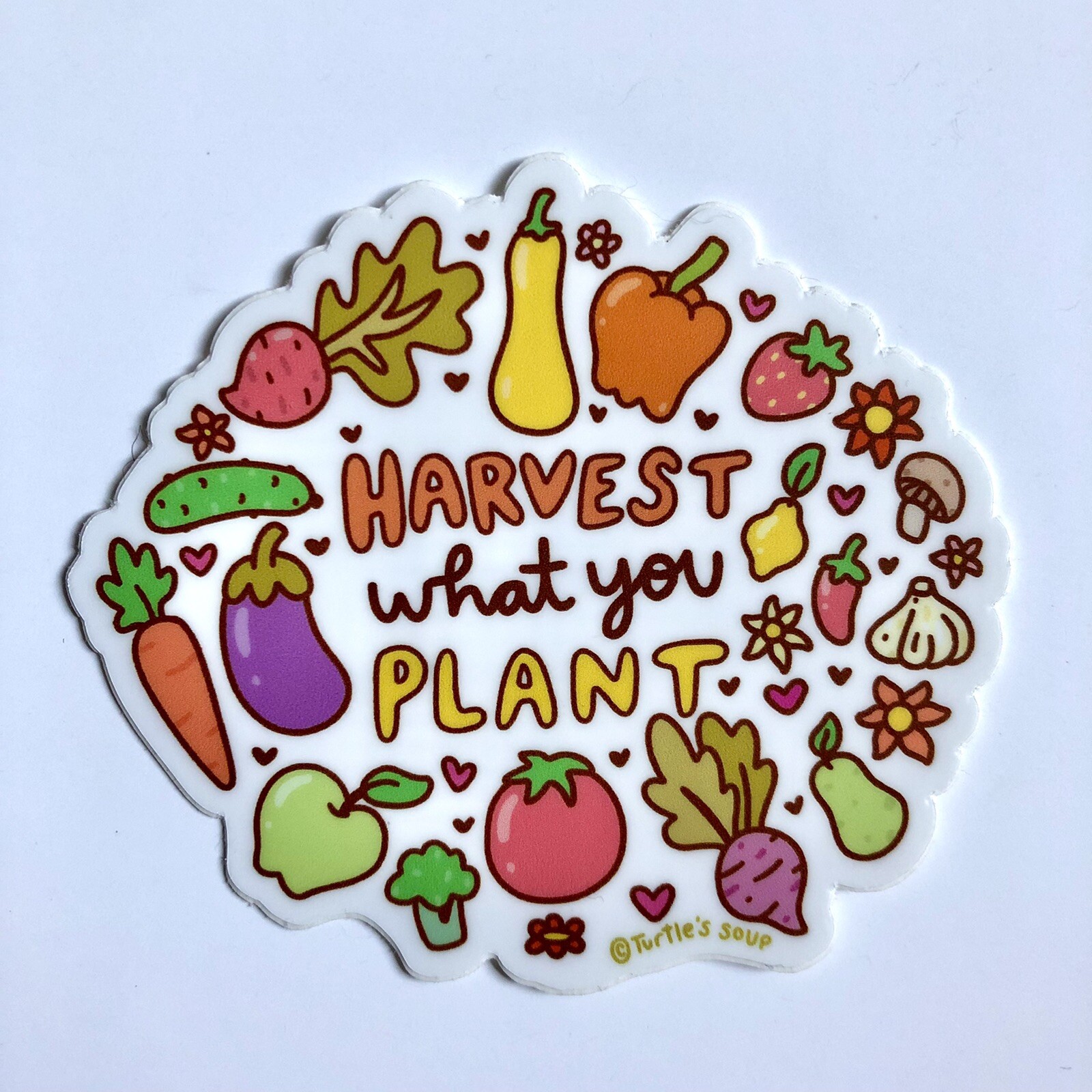 NEW! Turtle’s Soup SET OF 4 VINYL STICKERS / DECALS — 3×3” Whimsical Plant Theme