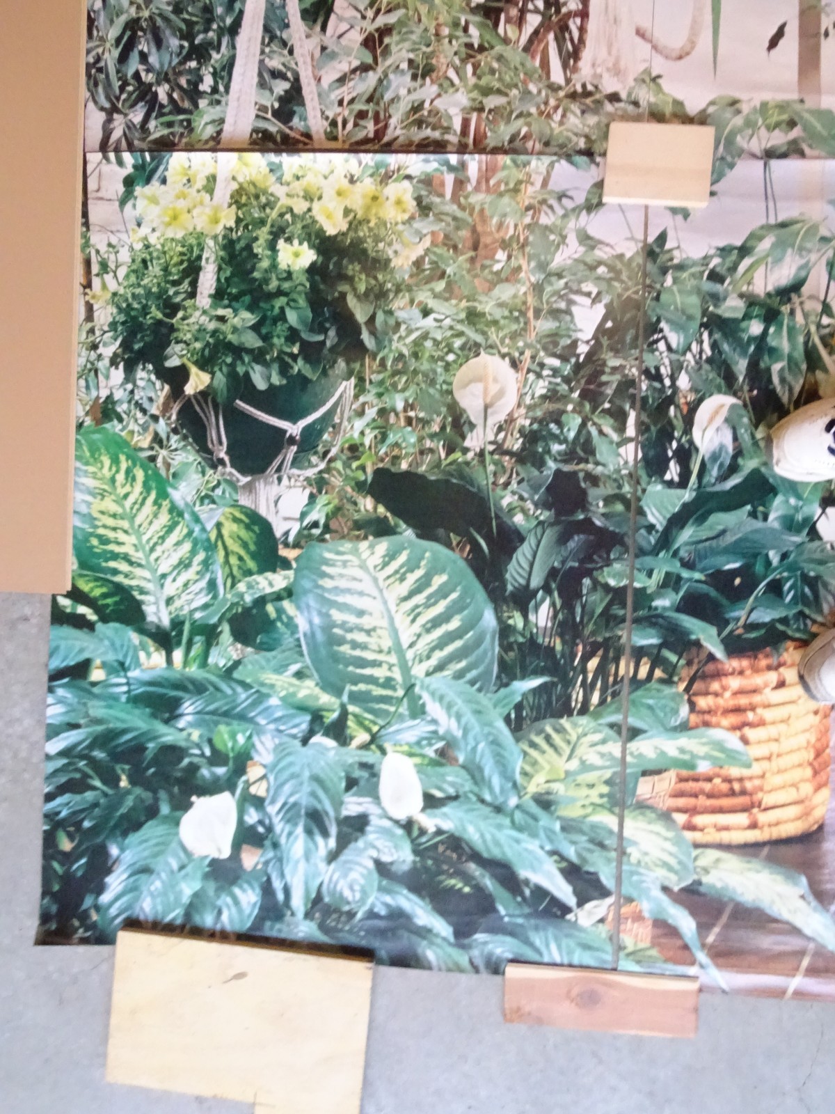 Full Wall Size Mural Tropical Plants Huge Window 8’ 8” x 12’ 6” NOS 108 Sq Ft A