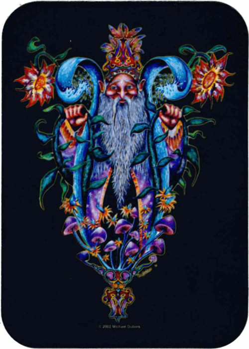 Wizard – Mike Dubois Sticker – 2 1/2" X 3 3/4"