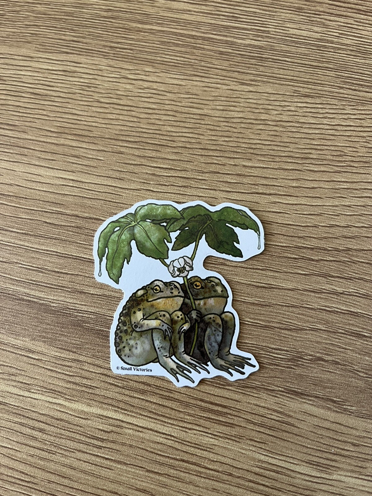 Cute Frogs Sticker, Nature Sticker