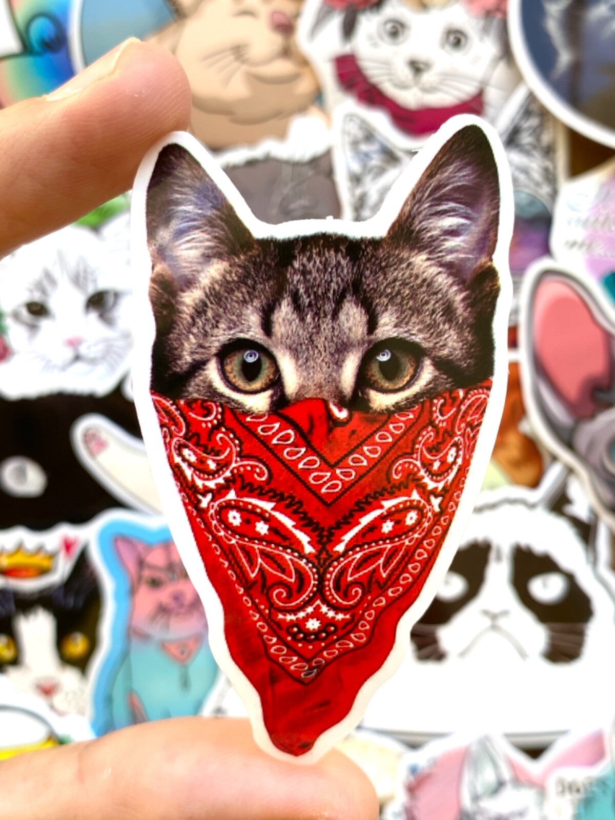 5-50 pcs Cat Meme Stickers, Cat Lover Gifts, Cute Funny Sad Fat Cat Vinyl Decals