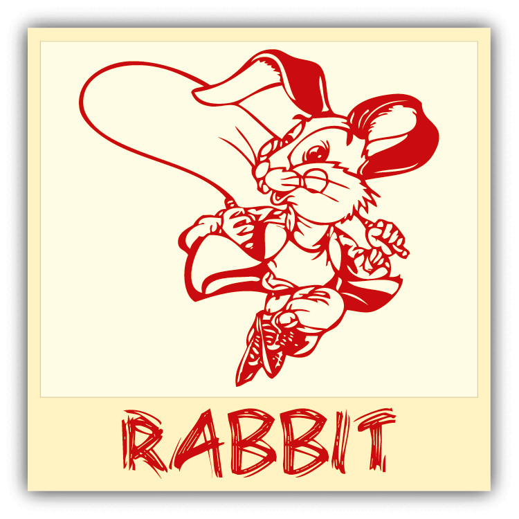 Rabbit Chinese Zodiac Sheng Xiao Humor Sign Car Bumper Sticker Decal